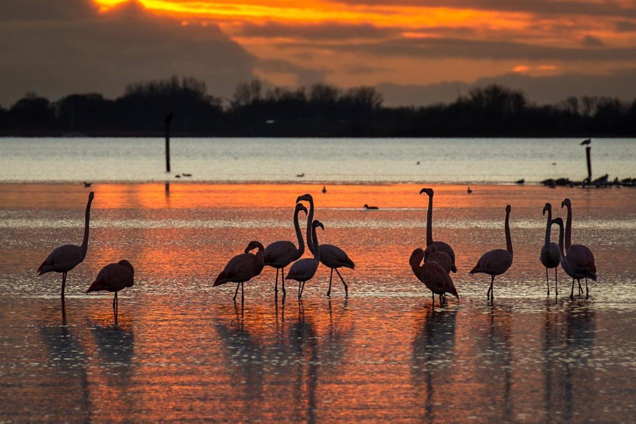Ijsvogel Apartment, Duplex Family Home 4-Bed Located On The Largest Saltwater Lake Bruinisse Exterior foto